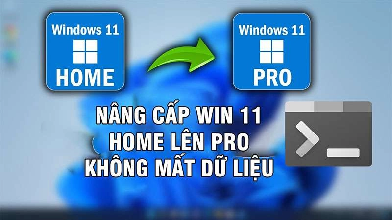 Cách Nâng Cấp Windows 11 Home Lên Pro Không Mất Dữ Liệu Đơn Giản