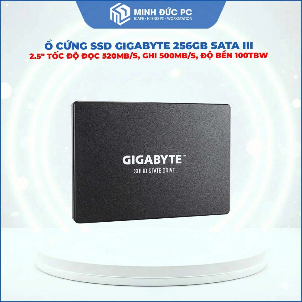 Hình ảnh Ổ cứng SSD Gigabyte 256GB SATA III 2.5 Inch GP-GSTFS31256GTND (Đã qua sử dụng)