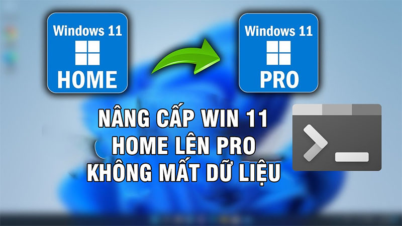 vi-sao-nen-nang-cap-tu-windows-11-home-len-pro